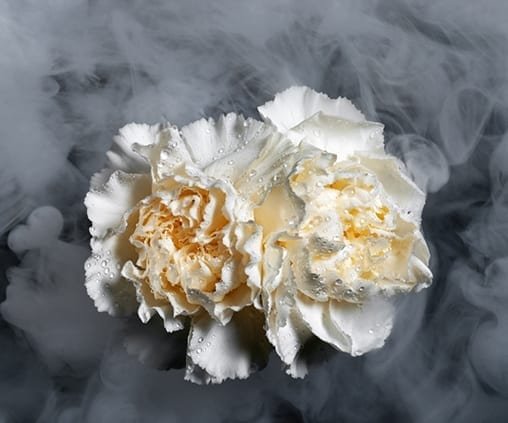 FLORISTIKAtry https://ledas.webtestas.lt/wp-content/uploads/2020/09/FLORISTIKAtry.jpg