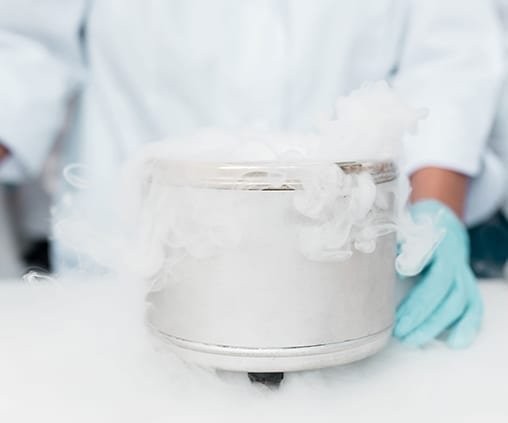 moksliniai https://ledas.webtestas.lt/wp-content/uploads/2020/09/moksliniai.jpg